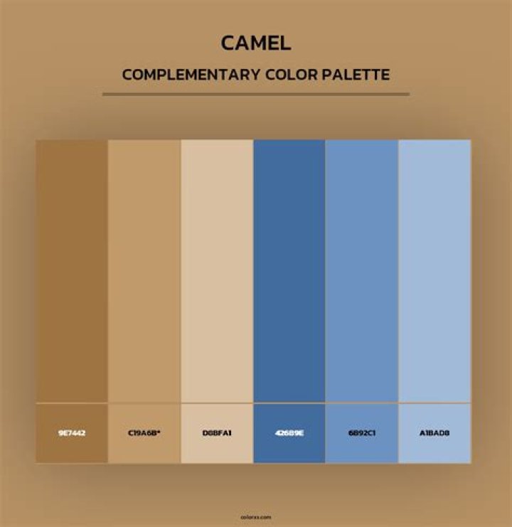 Does Navy go with camel