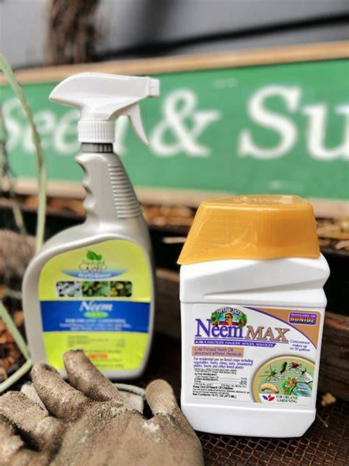 Does neem oil stop powdery mildew