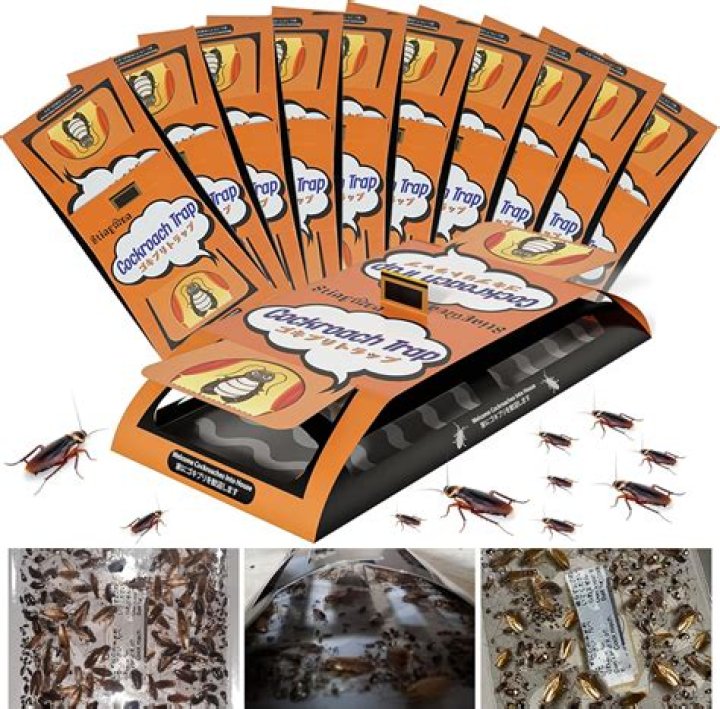 Does Roach gel kill ants