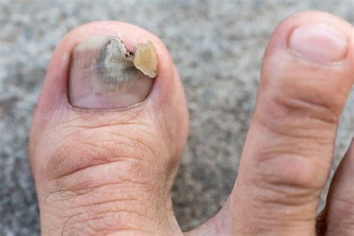 Does shellac go bad