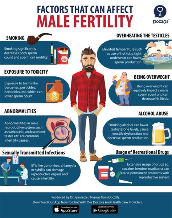 Does soy affect male fertility