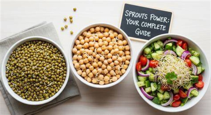 Does sprouting increase protein