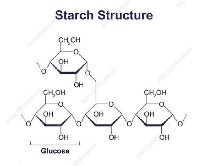 Does starch have cellulose