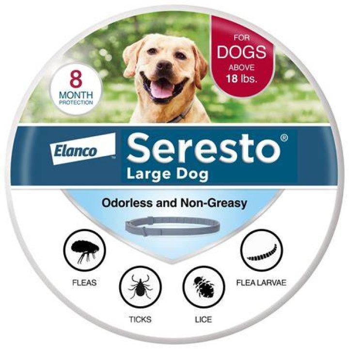 Does Target sell flea collars