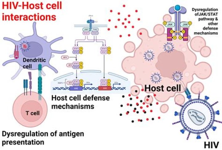 Does the agent require a host for reproduction bacteria