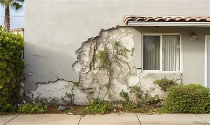 Does Virginia creeper damage stucco