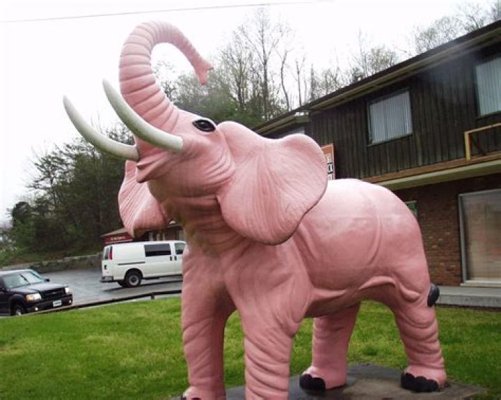 How big is a pink elephant