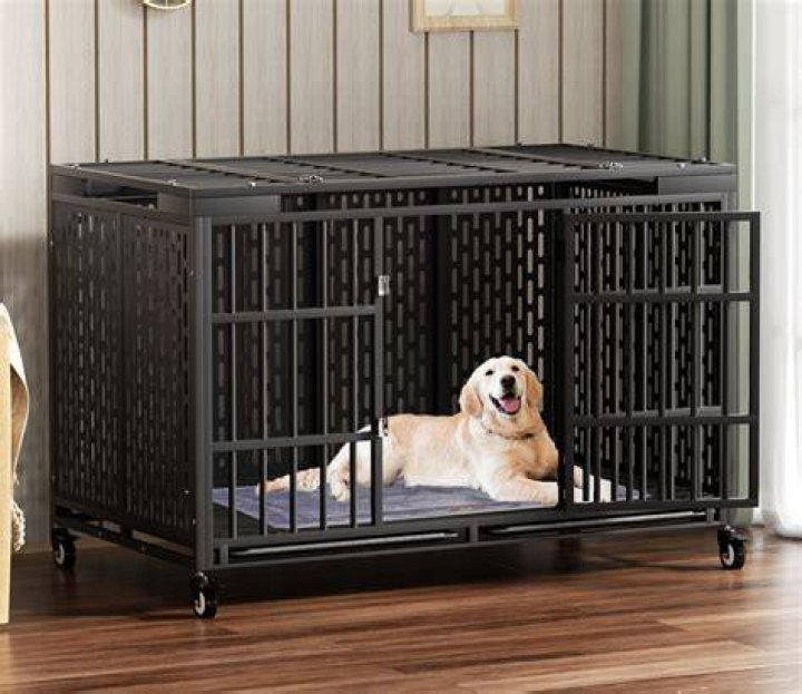 How big is an extra large dog crate