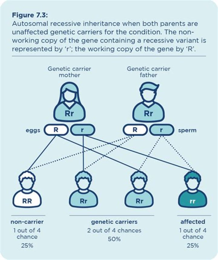 How can a recessive gene be expressed