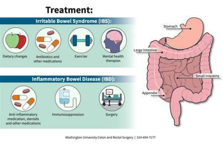 How can I regulate my bowels with IBS