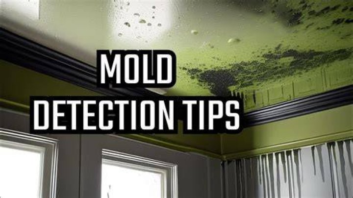 How can you detect mold