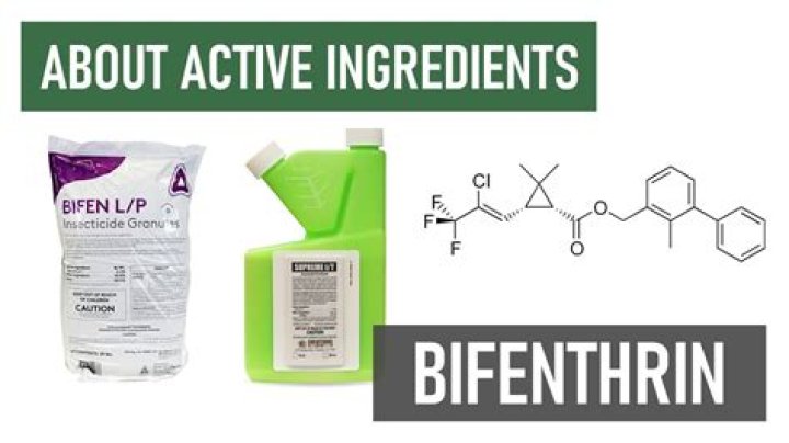 How dangerous is bifenthrin
