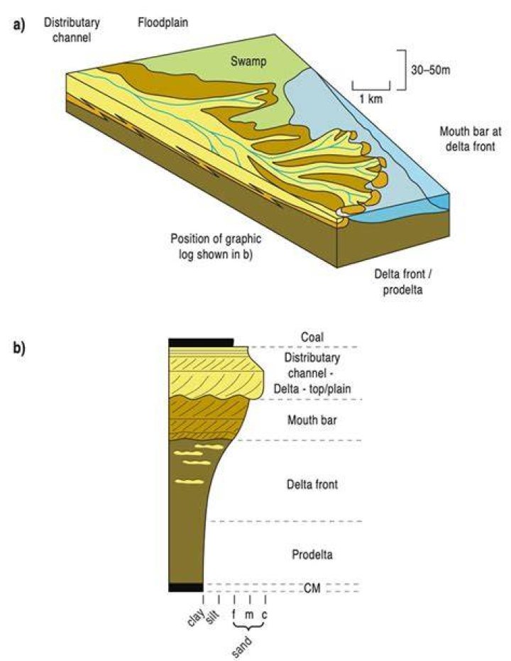 How did the coal form