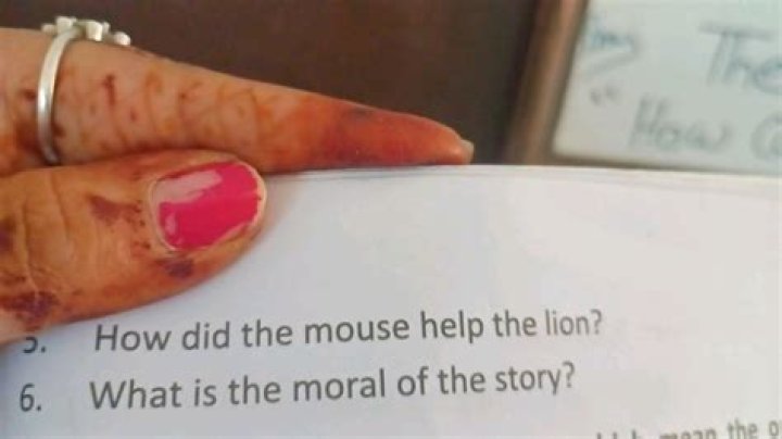 How did the mouse help the lion