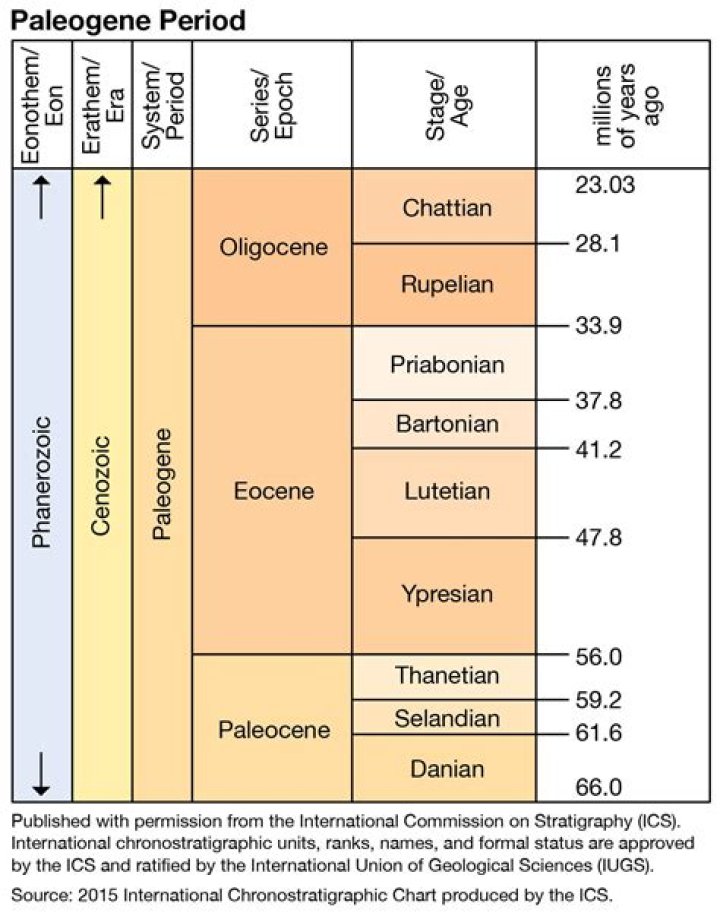 How did the Paleogene period begin