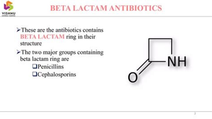How do beta lactamases degrade beta lactams