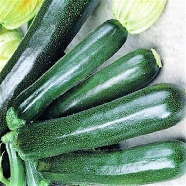 How do black beauty squash grow