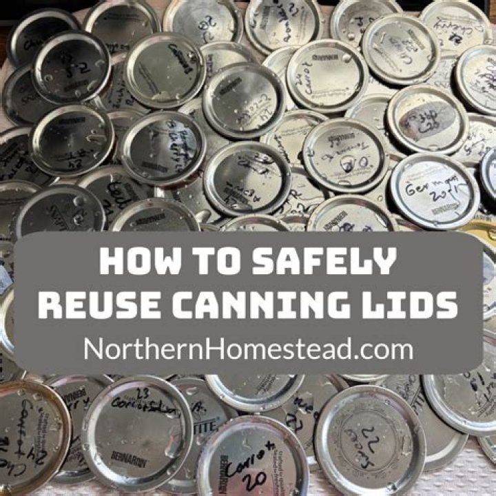 How do canning lids work