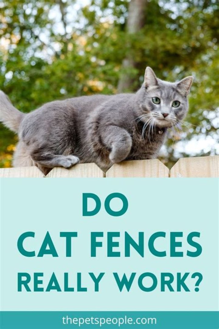 How do cat fences work