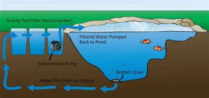 How do fish pond filters work
