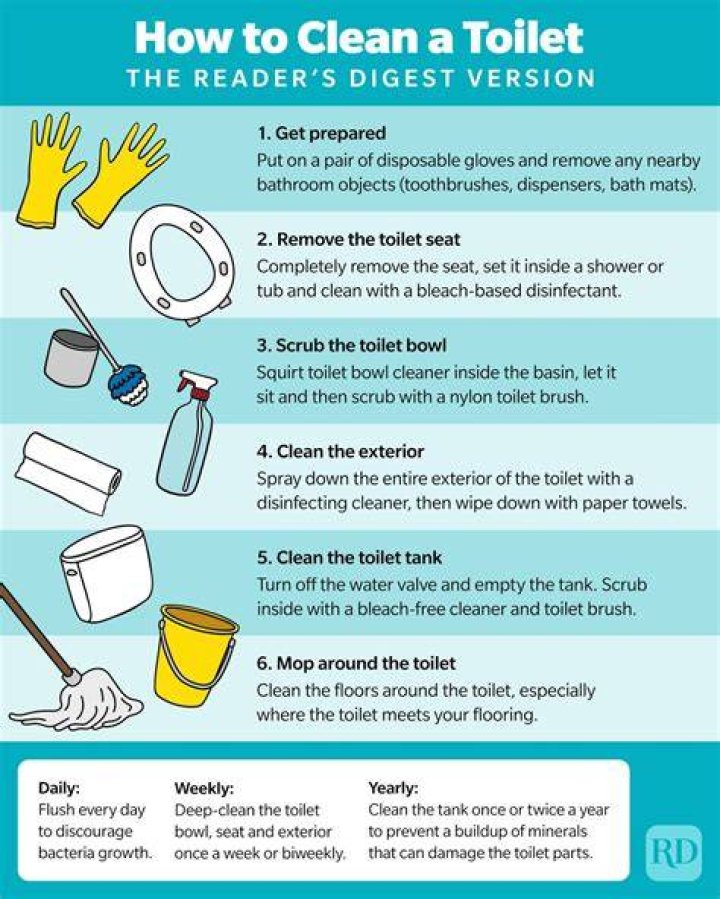 How do I clean toilet siphons