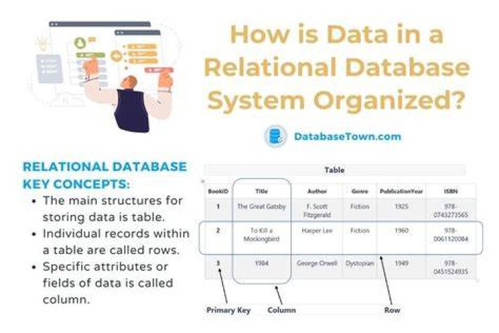 How do I create a database in SQLyog community