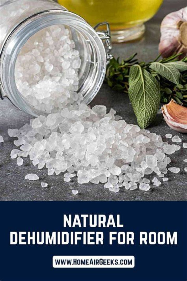 How do I dehumidify naturally