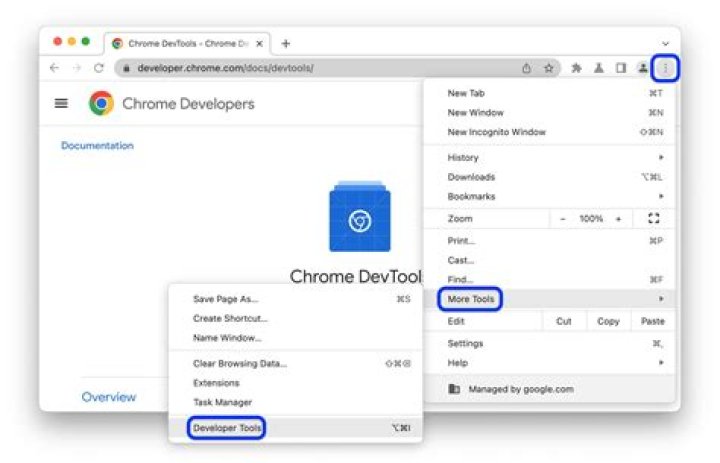 How do I enable f12 Developer Tools in IE