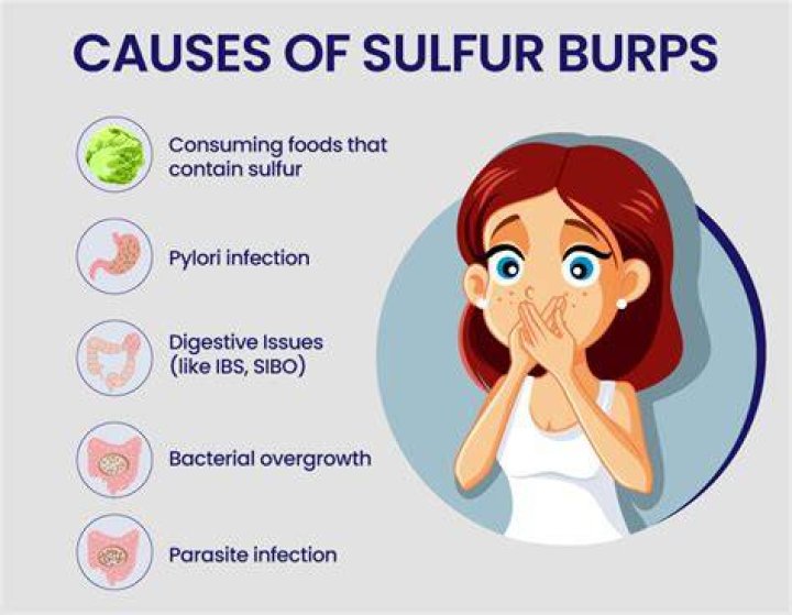 How do I get a burp certification