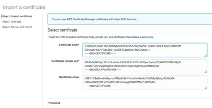 How do I import a certificate into Cacerts
