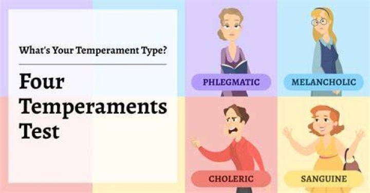 How do I know what my temperament is