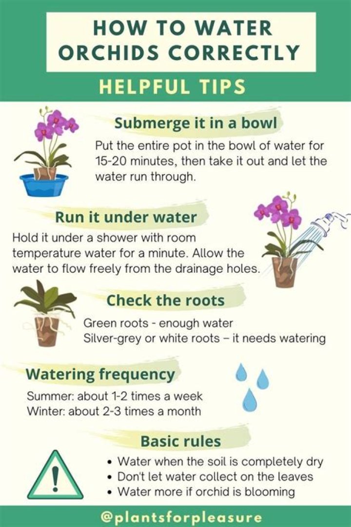 How do I make my orchid medium