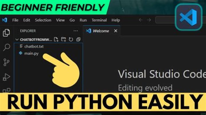 How do I run a Jenkins Python project