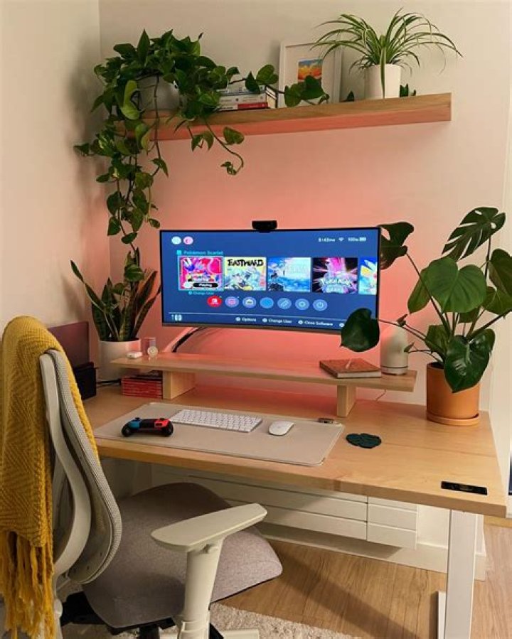 How do I set up XBee