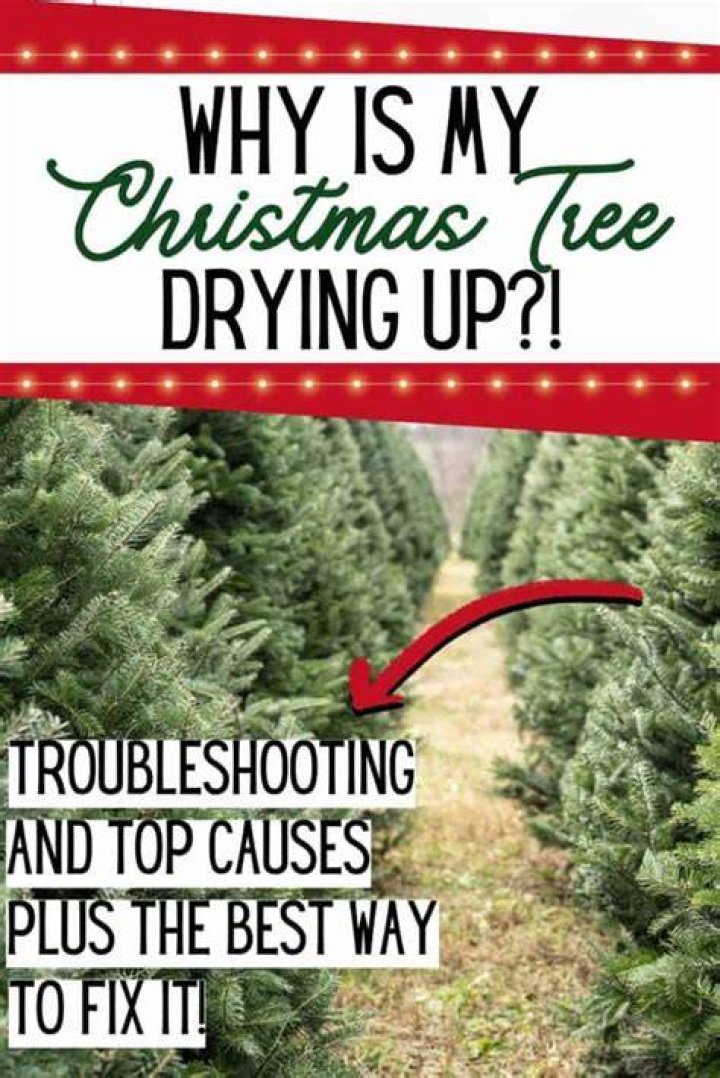 How do I stop my Christmas tree smelling