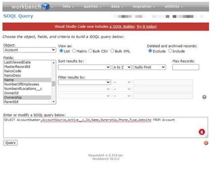How do I write a SOQL query in workbench