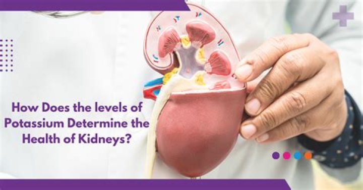 How do kidneys handle potassium