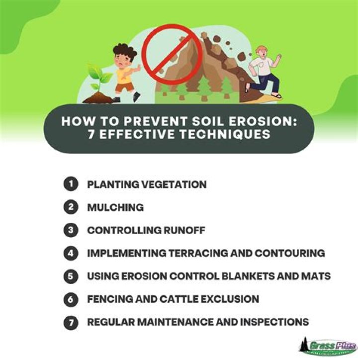 How do plants protect the soil