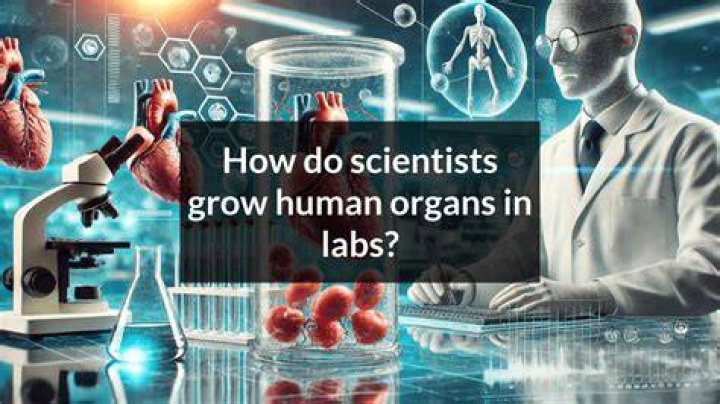 How do scientists gain new knowledge