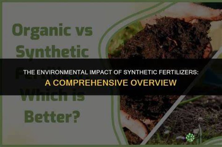 How do synthetic fertilizers affect the environment