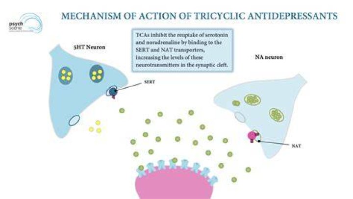 How do tricyclics cause toxicity