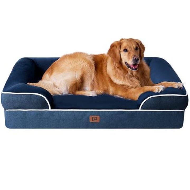 How do you clean a memory foam pet bed