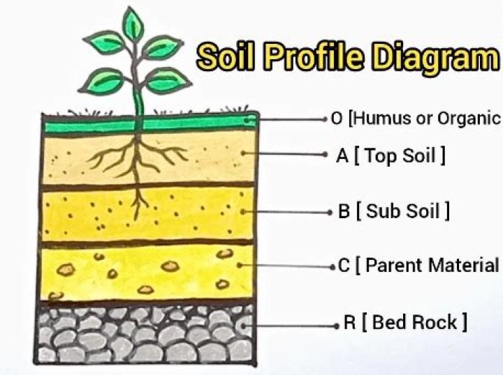 How do you describe a soil profile