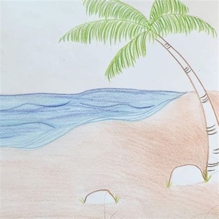 How do you do a beach profile