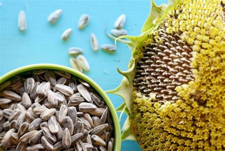 How do you easily shell sunflower seeds