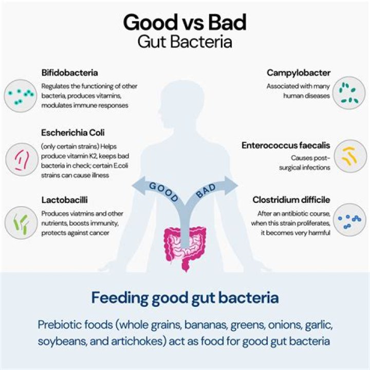 How do you increase good gut bacteria