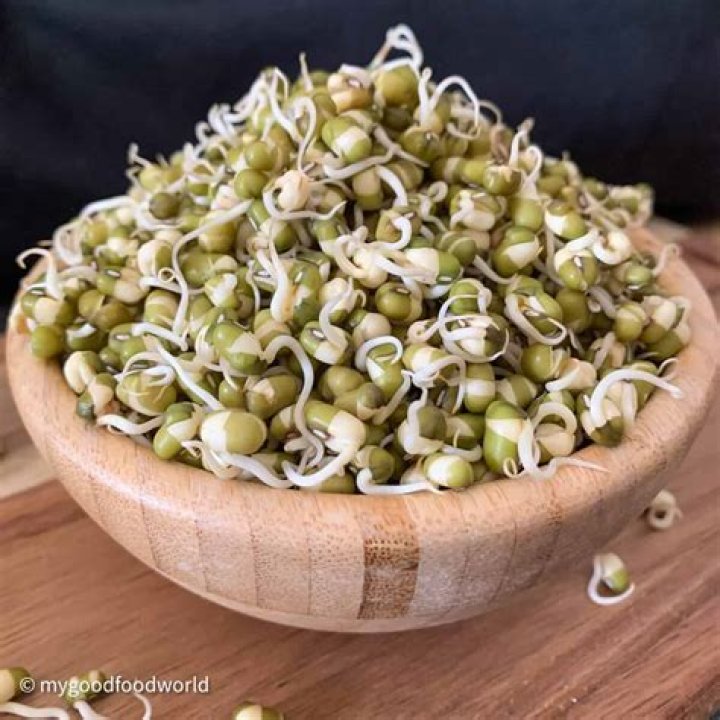 How do you keep mung bean sprouts fresh