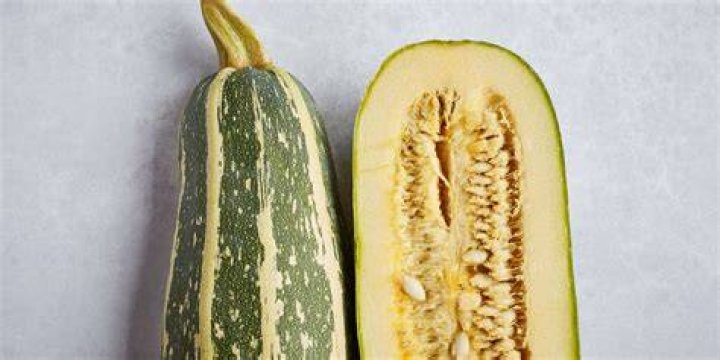 How do you look after a marrow plant