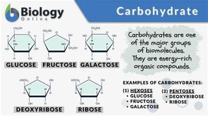 How do you make a carbohydrate molecule