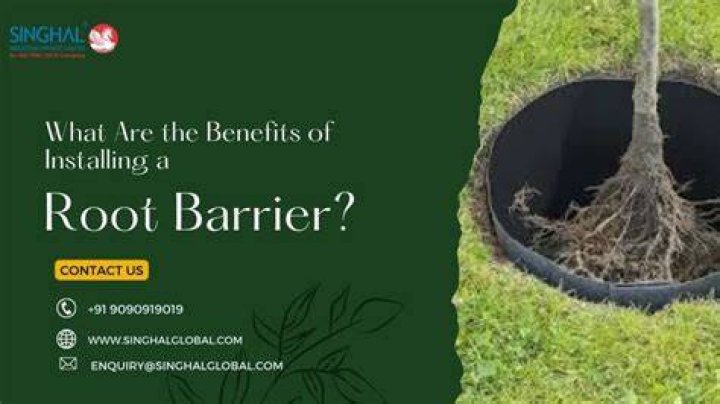 How do you make a root barrier